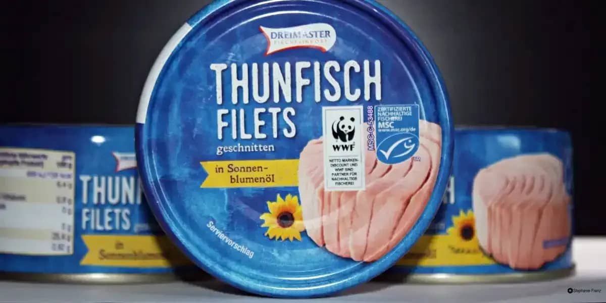Herkömmliche Konserven auf dem Lebensmittelhandel sind 1-3 Jahre haltbar